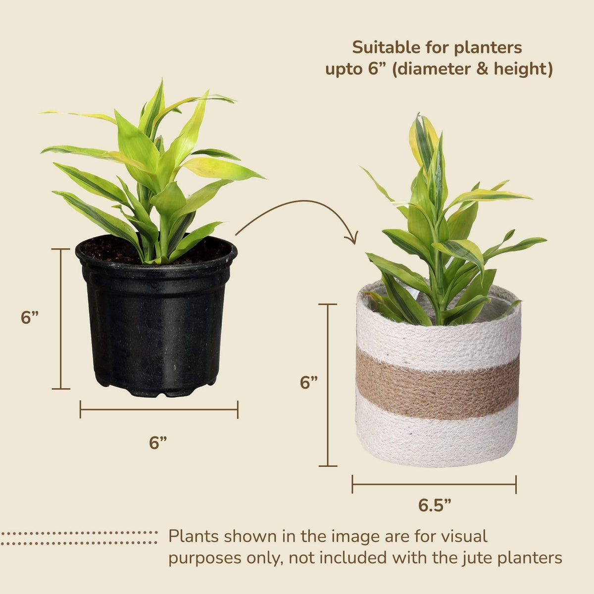 Jute Planter Basket Sustainable Woven Rope Covers for Decorating Indoor Outdoor Plants Pots 6.5x6.5x6 Inches Ideal Size for 6  Planter Multi Purpose Storage Set of 4 White & Natural Jute